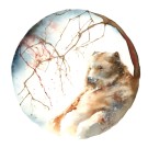 Carte de souhaits 5x5, -- L'ours et la forêt --, de l'artiste Sophie Rozenn Boucher, dimension : 5 x 5 pouces largeur, sans texte, avec enveloppe  Vous pouvez inscrire votre message à l'intérieur.  Carte vendue à l'unité