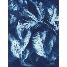 Tissage éphémère 1 (Série Mimosa) (t.encadré), de l'artiste Sophie Rozenn Boucher, Medium Cyanotype sur papier aquarelle, Cadre blanc, moulure et passe-partout, Création unique, Format de l'oeuvre : 12 x 9 pouces de largeur