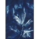 Tissage éphémère 2 (Série Mimosa) (t.encadré), de l'artiste Sophie Rozenn Boucher, Medium Cyanotype sur papier aquarelle, Cadre blanc, moulure et passe-partout, Création unique, Format de l'oeuvre : 12 x 9 pouces de largeur