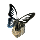 Papillon, o-42, de l'artiste Danny Perkins, Sculpture, roche et acier, Oeuvre pour l'intérieur et l'extérieur, Dimension : 8 x 8.25 x 8