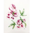 Affiche, Fleurs cerisier et pivoines, de l'artiste Katrinn Pelletier, dimension : 10 x 8 po de largeur