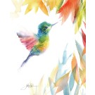 Affiche, --- Colibri ---, de l'artiste Sophie Rozenn Boucher, dimension : 10 x 8 pouces de largeur, affiche prête à être encadrée