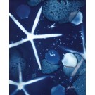 Affiche, --- Constellation (fond marin) ---, de l'artiste Sophie Rozenn Boucher, dimension : 10 x 8 pouces de largeur, affiche prête à être encadrée