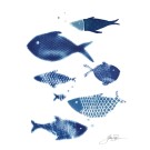 Affiche, --- Filet de poissons ---, de l'artiste Sophie Rozenn Boucher, dimension : 10 x 8 pouces de largeur, affiche prête à être encadrée