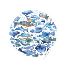 Affiche, --- La ronde des poissons bleus ---, de l'artiste Sophie Rozenn Boucher, dimension : 10 x 8 pouces de largeur, affiche prête à être encadrée