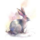 Affiche, --- Lapin ---, de l'artiste Sophie Rozenn Boucher, dimension : 10 x 8 pouces de largeur, affiche prête à être encadrée