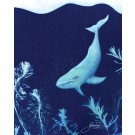 Affiche, --- Plongée sous-marine ---, de l'artiste Sophie Rozenn Boucher, dimension : 10 x 8 pouces de largeur, affiche prête à être encadrée