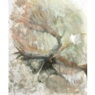 Encore plus loin, de l'artiste Carine Génadry, Tableau, Techniques mixtes sur panneau de bois, Dimension : 24 x 20 pouces de largeur