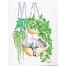 Carte de souhaits 5x4 po, -- Chat dormant --, de l'artiste Katrinn Pelletier, dimension : 5.5 x 4.25 pouces largeur, sans texte, avec enveloppe  Vous pouvez inscrire votre message à l'intérieur.  Carte vendue à l'unité