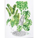 Carte de souhaits 5x4 po, -- Chat et sa jungle --, de l'artiste Katrinn Pelletier, dimension : 5.5 x 4.25 pouces largeur, sans texte, avec enveloppe Vous pouvez inscrire votre message à l'intérieur. Carte vendue à l'unité