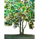 Carte de souhaits 5x5 po, L'arbre de vie, de l'artiste Nancy Létourneau, dimension : 5.25 x 5.25 pouces largeur, sans texte, avec enveloppe  Vous pouvez inscrire votre message à l'intérieur.  Carte vendue à l'unité