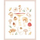 Affiche, -- Champignons sauvages --, de l'artiste Katrinn Pelletier, Illustration, aquarelle, crayons de couleur, ..., dimension : 16 x 12 de largeur