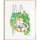 Affiche, -- Chat dormant --, de l'artiste Katrinn Pelletier, Illustration, aquarelle, crayons de couleur, ..., dimension : 16 x 12 de largeur