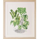 Affiche, -- Chat jungle --, de l'artiste Katrinn Pelletier, Illustration, aquarelle, crayons de couleur, ..., dimension : 10 x 8 de largeur