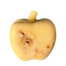 Savon 'Croustade aux pommes', de l'artiste Oasis Douceur, Savon fait à base d'huile végétale, ne contient aucun additif ni fragrance chimique, Fragrance obtenue à partir d'huile essentielle issue de la nature.