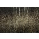 Déambulation, no 1, (p. encadrée), de l'artiste Ivan Binet, Photographie : Jet d'encre sur papier fibre, dimension : 20 x 27 po