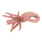 Fleur Anémone rose vendue séparément, de l'artiste Véronique Martel, dimension : 4 à 5 pouces de longueur, Peut être légèrement différente de la photo présentée, Faisait partie de l'ensemble 'L'épicier du coin ...', Faïence grès pigment émail, vue A