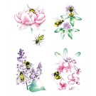 Affiche, Fleurs du Québec, abeilles et bourdons, de l'artiste Katrinn Pelletier, dimension : 10 x 8 po de largeur