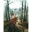 Forêt noire, de l'artiste Félix Girard, sur papier Epson « Enhanced Matte, impression avec de l’encre à pigment – qualité archive (ultra chrome), dimension : 18 x 14 pouces de largeur, affiche prête à être encadrée