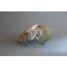 Il fût un temps où les méduses avaient un squelette, de l'artiste Bernard Hamel, Sculpture, albâtre et laiton, Création unique, dimension : 16 x 10 po de haut