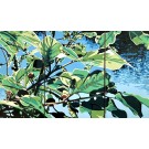 Jardins sauvages LII (triptyque), de l'artiste Elyse Turbide, Acrylique sur toile, Dimension : format total de l'oeuvre : 24 x 40 po de largeur