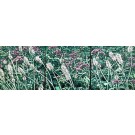 Jardins sauvages LIV (triptyque), de l'artiste Elyse Turbide, Médiums mixtes sur toile, Dimension : format total de l'oeuvre : 14 x 42 po de largeur