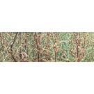 Jardins sauvages LXIX, de l'artiste Elyse Turbide, Acrylique sur toile, Dimension : 16 x 48 pouces de largeur
