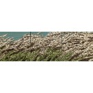 Jardins sauvages XLIX (triptyque), de l'artiste Elyse Turbide, Médiums mixtes sur toile, Dimension : format total de l'oeuvre : 14 x 42 po de largeur