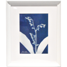 L'arrivée du printemps (Série Muguet) (t.encadré), de l'artiste Sophie Rozenn Boucher, Medium Cyanotype et aquarelle sur papier de coton, Cadre blanc, moulure et passe-partout, Création unique, Format de l'oeuvre : 7 x 5 pouces de largeur, vue encadrée
