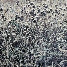 Le jardin de givre IV, de l'artiste Elyse Turbide, Acrylique sur toile, Dimension : 30 x 30 pouces de largeur