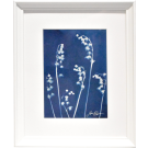 Les clochettes (Série Muguet) (t.encadré), de l'artiste Sophie Rozenn Boucher, Medium Cyanotype et aquarelle sur papier de coton, Cadre blanc, moulure et passe-partout, Création unique, Format de l'oeuvre : 7 x 5 pouces de largeur, vue encadrée