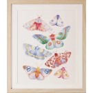 Affiche, -- Papillons colorés --, de l'artiste Katrinn Pelletier, Illustration, aquarelle, crayons de couleur, ..., dimension : 16 x 12 de largeur