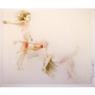 La pirouette, de l'artiste Marie-Pierre Lortie, Oeuvre sur soie, encre, double voile sur cadre, Création unique,dimension 30 x 36 pouces de largeur