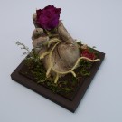 Retenir l'éphémère, de l'artiste Raphaëlle Bitar, Sculpture, Plâtre, bois et végétaux divers, dimension : 6 x 6 x 5 pouces