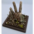 Désir d'un premier souffle, de l'artiste Raphaëlle Bitar, Sculpture, Plâtre, bois et végétaux divers, dimension : 7 x 6 x 6 pouces