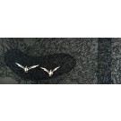 Un monde à nous deux, de l'artiste Elyse Turbide, Acrylique sur toile, Dimension : 20 x 60 pouces de largeur
