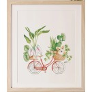 Affiche, -- Corgie Vélo --, de l'artiste Katrinn Pelletier, Illustration, aquarelle, crayons de couleur, ..., dimension : 16 x 12 de largeur