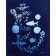 Un monde caché, de l'artiste Sophie Rozenn Boucher, Medium Cyanotype et aquarelle sur papier de coton, marouflé sur bois, Création unique, Format de l'oeuvre : 14 x 11 pouces de largeur