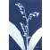 L'arrivée du printemps (Série Muguet) (t.encadré), de l'artiste Sophie Rozenn Boucher, Medium Cyanotype et aquarelle sur papier de coton, Cadre blanc, moulure et passe-partout, Création unique, Format de l'oeuvre : 7 x 5 pouces de largeur