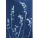 Les clochettes (Série Muguet) (t.encadré), de l'artiste Sophie Rozenn Boucher, Medium Cyanotype et aquarelle sur papier de coton, Cadre blanc, moulure et passe-partout, Création unique, Format de l'oeuvre : 7 x 5 pouces de largeur