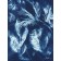Tissage éphémère 1 (Série Mimosa) (t.encadré), de l'artiste Sophie Rozenn Boucher, Medium Cyanotype sur papier aquarelle, Cadre blanc, moulure et passe-partout, Création unique, Format de l'oeuvre : 12 x 9 pouces de largeur