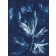 Tissage éphémère 2 (Série Mimosa) (t.encadré), de l'artiste Sophie Rozenn Boucher, Medium Cyanotype sur papier aquarelle, Cadre blanc, moulure et passe-partout, Création unique, Format de l'oeuvre : 12 x 9 pouces de largeur