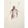 Crevette à bretelle, de l'artiste Benoit Genest Rouillier, Oeuvre sur papier, Techniques mixtes, Création unique, dimension : 13.75 po x 10 po de largeur