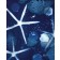 Affiche, --- Constellation (fond marin) ---, de l'artiste Sophie Rozenn Boucher, dimension : 10 x 8 pouces de largeur, affiche prête à être encadrée