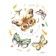 Affiche, --- Insectes ---, de l'artiste Sophie Rozenn Boucher, dimension : 10 x 8 pouces de largeur, affiche prête à être encadrée