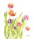 Affiche, --- Tulipes ---, de l'artiste Sophie Rozenn Boucher, dimension : 10 x 8 pouces de largeur, affiche prête à être encadrée