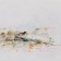 Candides sur le rivage, de l'artiste Anne-Marie Villeneuve, Tableau, Acrylique, graphite et fils de coton sur toile galerie, Création unique, dimension : 24 x 48 po de largeur, détails 2