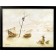 L'épave, de l'artiste Félix Girard, sur papier Epson « Enhanced Matte, impression avec de l’encre à pigment – qualité archive (ultra chrome), dimension : 11 x 14 pouces de largeur, affiche prête à être encadrée, vue 2