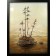 Turtle Island, affiche, de l'artiste Félix Girard, sur papier Epson « Enhanced Matte, impression avec de l’encre à pigment – qualité archive (ultra chrome), dimension : 24 x 18 pouces de largeur, affiche prête à être encadrée, vue 2