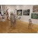 Caribou, de l'artiste Mathieu Isabelle, Sculpture, acier inoxydable, dimension : 132 x 60 x 84 pouces, vue 5, mise en contexte